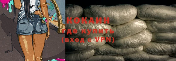 крисы Осинники