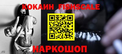 гашик Камышлов