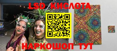 гашик Камышлов