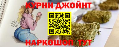 гашик Камышлов