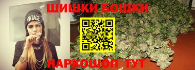 гашик Камышлов