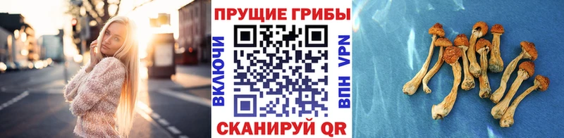 Галлюциногенные грибы мицелий  Конаково 
