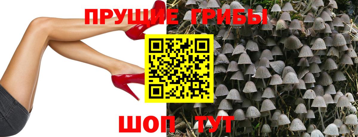 Галлюциногенные грибы GOLDEN TEACHER Конаково