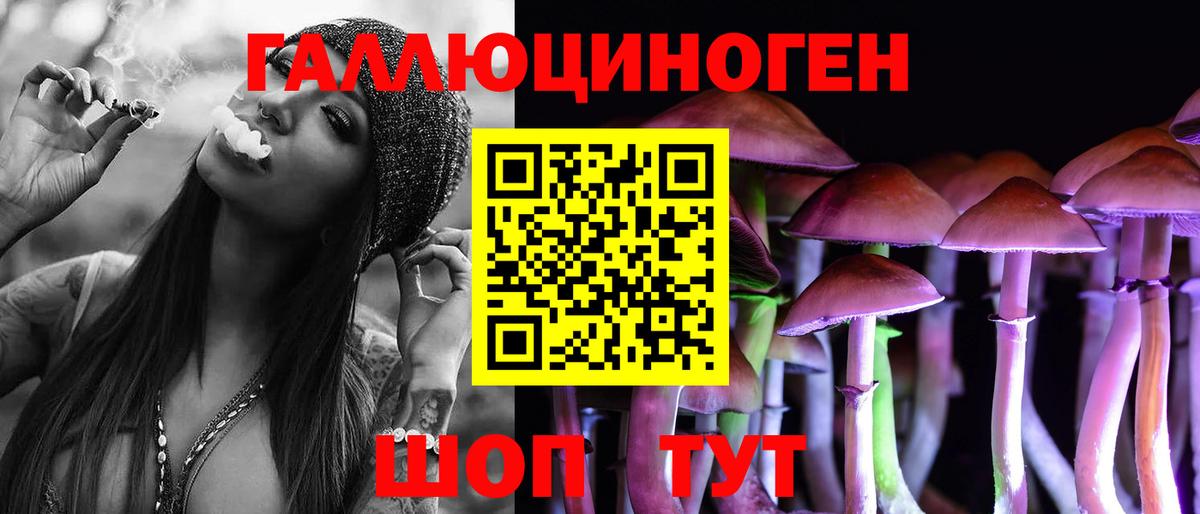 Псилоцибиновые грибы Psilocybe Конаково